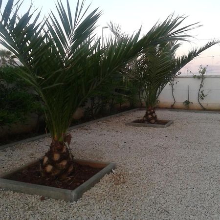 Apartments Ayla Vir Εξωτερικό φωτογραφία